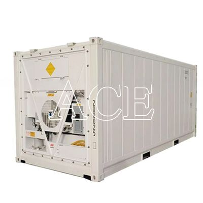 20ft Reefer Container Thermo King Refrigerated Cooler с внешними размерами 606 * 244 * 259 мм и вместимостью 32CBM