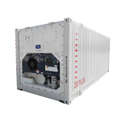 Специализированное измерение 23ft BV сертифицированный холодильный контейнер для хранения -30- 30C температурный диапазон 380/440V