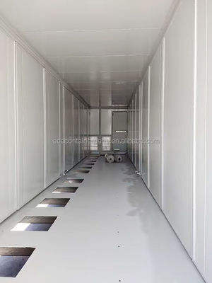 70 CBM Capacity Corten-A Steel Bess Solar Battery Energy Storage System Container для требований клиентов